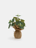 Sinsay Green Decorative Artificial Plant | Sinsay In Lebanon