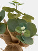 Sinsay Green Decorative Artificial Plant | Sinsay In Lebanon