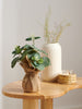 Sinsay Green Decorative Artificial Plant | Sinsay In Lebanon