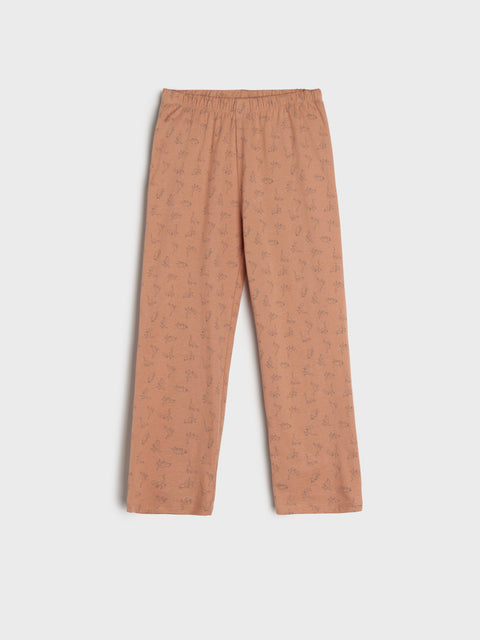 Brown pants on a white background