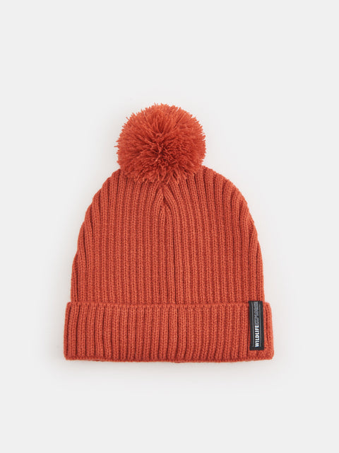 Sinsay Boy's Brick Knitted Pom Pom Beanie|Sinsay In Lebanon