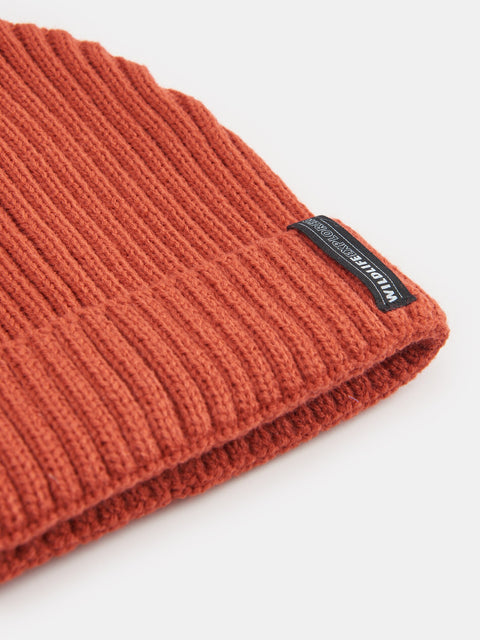 Sinsay Boy's Brick Knitted Pom Pom Beanie|Sinsay In Lebanon