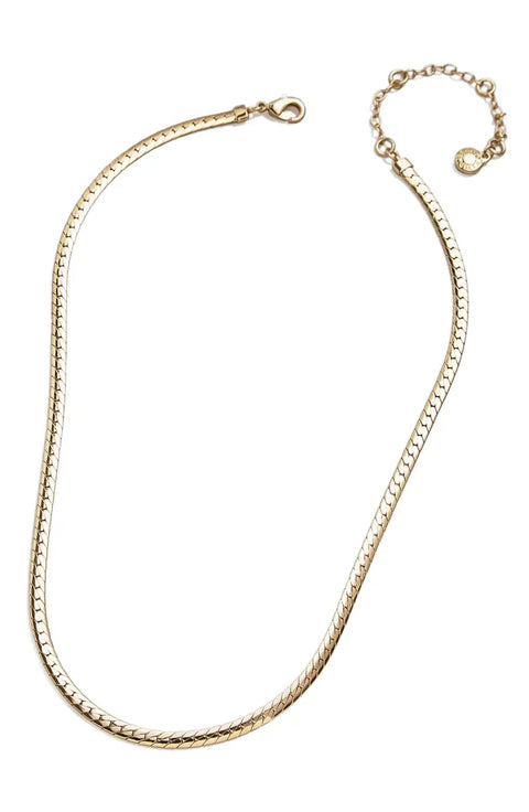 BaubleBar Women's Gold Snake Chain Necklace|BaubleBar Scott In Lebanon