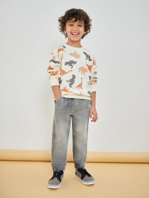 Sinsay Boy's Light Grey Jogger Jeans With Washed Effect | Sinsay In Lebanon