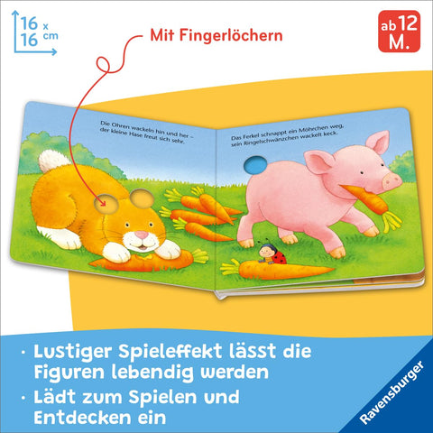 Ministeps: Funny Tickly-Crawly Animals: My First Finger Play Book|Ministeps In Lebanon