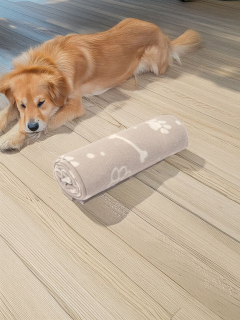 Sinsay Light Gray Pet Blanket | Sinsay In Lebanon