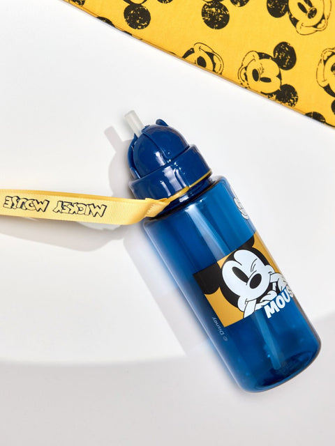 Disney Sinsay Water Bottle ANFK649