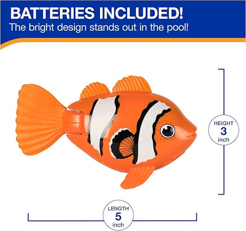 SwimWays Rainbow Reef Fish Jouet Pour | SwimWays In Lebanon