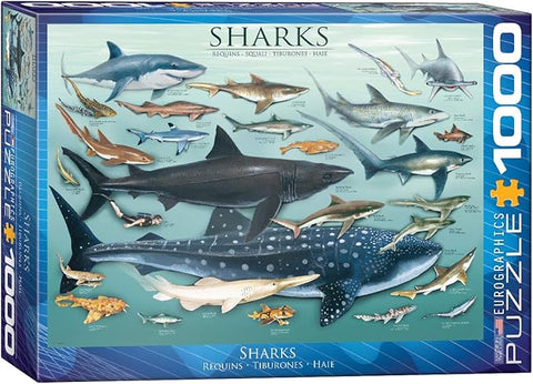 EuroGraphics Sharks 1000 Piece Puzzle | EuroGraphics In Lebanon