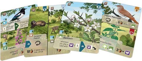 Lookout Games Forest Shuffle Woodland Edge Card Game Expansion | Lookout Games In Lebanon