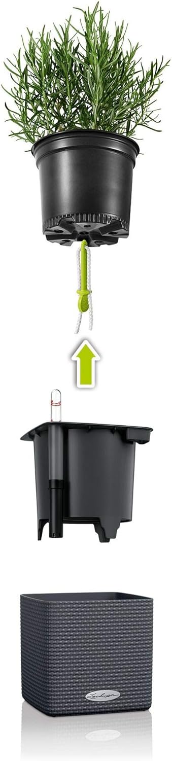 Lechuza Grey 0.4L Flowerpot | Lechuza In Lebanon