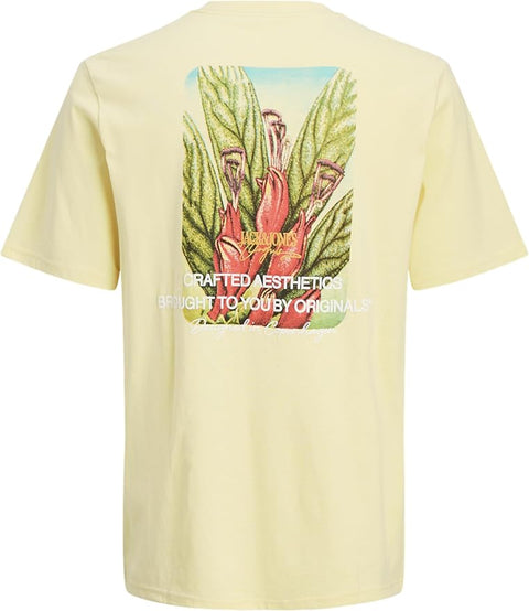 Jack & Jones Men's Light Yellow Joralmeria Stamp Crew Neck T-Shirt | Jack & Jones In Lebanon