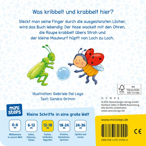 Ministeps: Funny Tickly-Crawly Animals: My First Finger Play Book|Ministeps In Lebanon