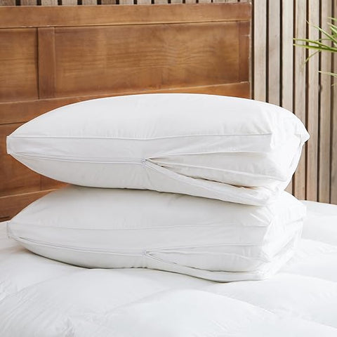 Stearns & Foster White Pillow Protector 2 Pack | Stearns & Foster In Lebanon