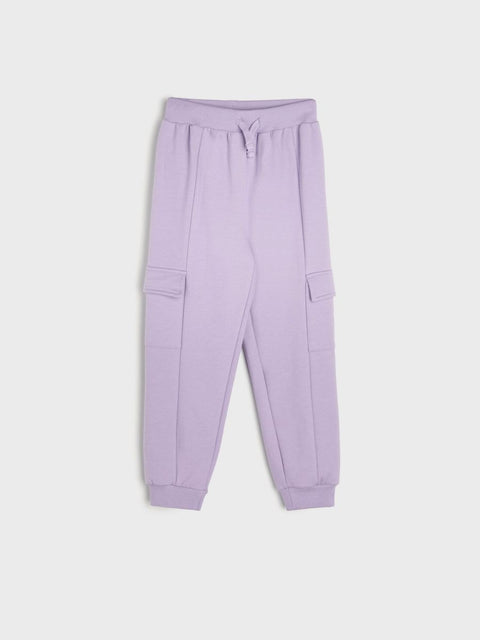 Purple jogger pants on a white background