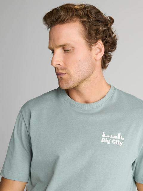 Sinsay Men's Mint Green Short-sleeve T-shirt | Sinsay in lebanon