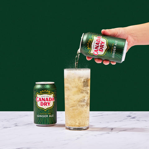 Canada Dry Ginger Ale 355ml |Canada Dry In Lebanon