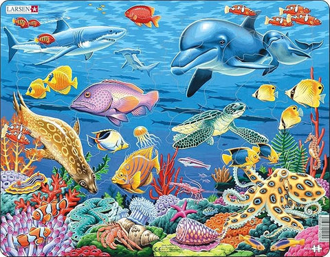 Larsen Coral Reef Children's Educational Tray & Frame Style Puzzle | Larsen In Lebanon