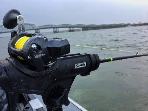 Shimano Tekota A 500/600 Conventional Reels | Shimano In Lebanon