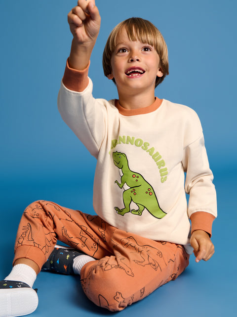 Sinsay Boy's Cream  Sports Sweatshirt | Sinsay in Lebanon
