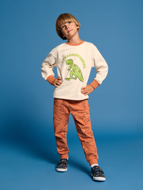 Sinsay Boy's Cream  Sports Sweatshirt | Sinsay in Lebanon