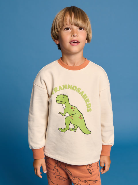 Sinsay Boy's Cream  Sports Sweatshirt | Sinsay in Lebanon