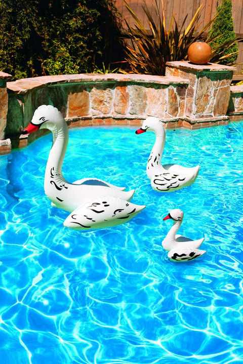 Poolmaster Floating Swimming Pool Pack Of 3 Swan Family | Poolmaster In Lebanon