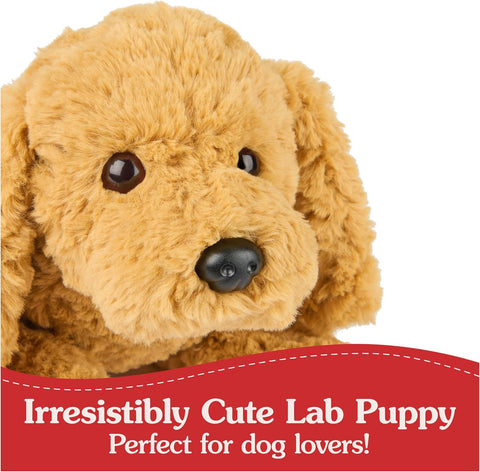 GUND Muttsy Dog Plush, Premium Plush Puppy Stuffed Animal | GUND In Lebanon