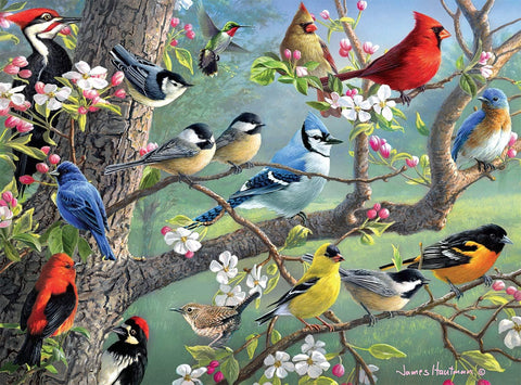 Buffalo Games Hautman Brothers Birds in an Orchard 1000 Piece Jigsaw Puzzle | Buffalo Games In Lebanon