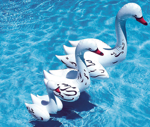 Poolmaster Floating Swimming Pool Pack Of 3 Swan Family | Poolmaster In Lebanon