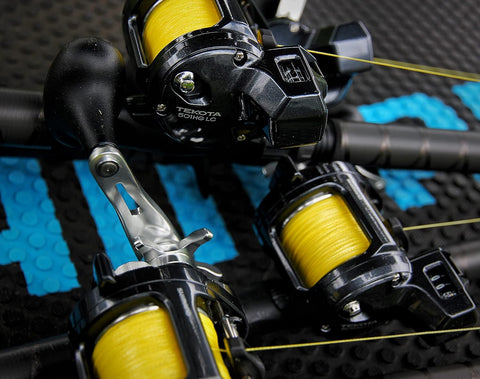 Shimano Tekota A 500/600 Conventional Reels | Shimano In Lebanon