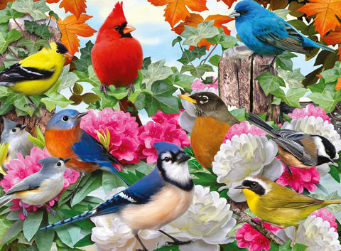 Ravensburger Garden Birds 500 Piece Jigsaw Puzzle | Ravensburger In Lebanon