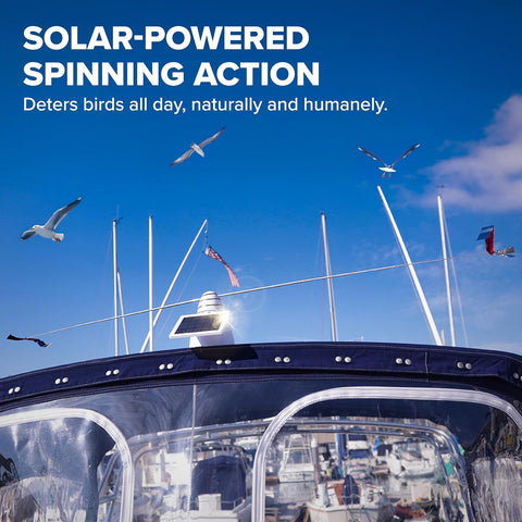 Bird B Gone Solar Bird Repeller | Bird B Gone In Lebanon