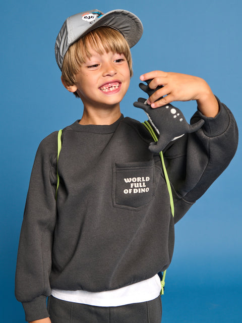 Sinsay Boy's Dark Gray Plain Printed Sweatshirt |Sinsay In Lebanon