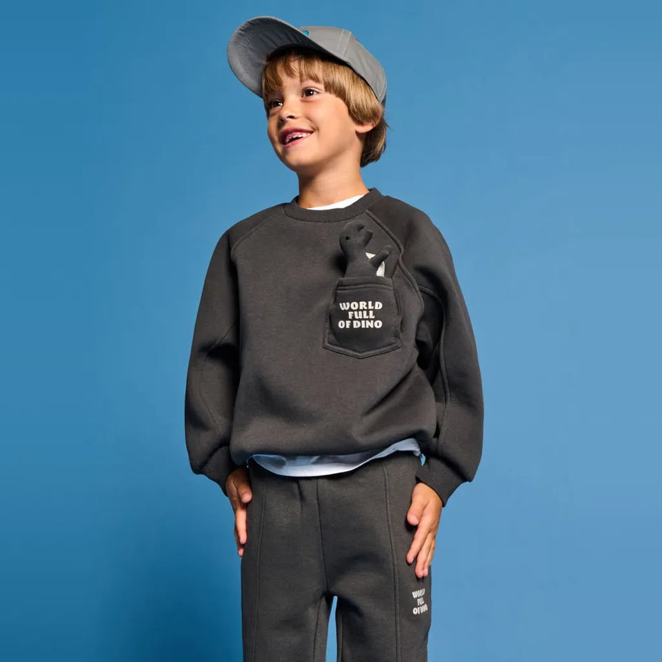 Sinsay Boy's Dark Gray Chest Pocket Sweatshirt