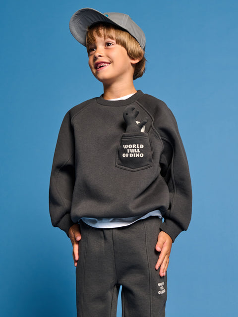 Sinsay Boy's Dark Gray Plain Printed Sweatshirt |Sinsay In Lebanon
