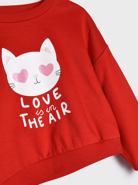 Red sweatshirt with a cat graphic and 'Love is in the Air' text on a white background