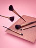 Sinsay Purple Makeup Brush Set 5 Pack | Sinsay In Lebanon