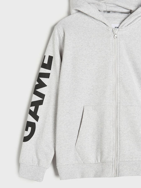 Gray hoodie with 'GAME' logo on sleeve against a white background
