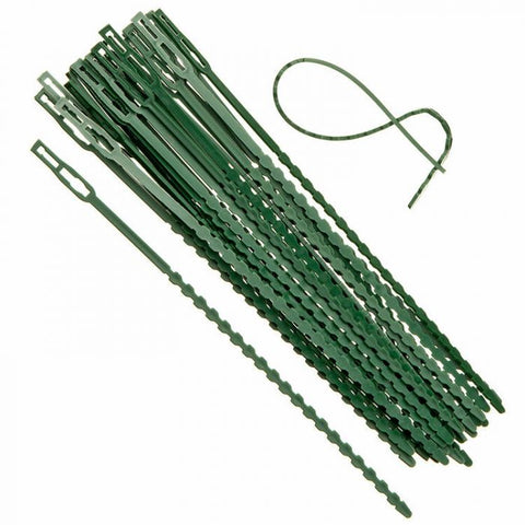 Jes Collection Green 40pcs Plants Binder |Jes Collection in Lebanon