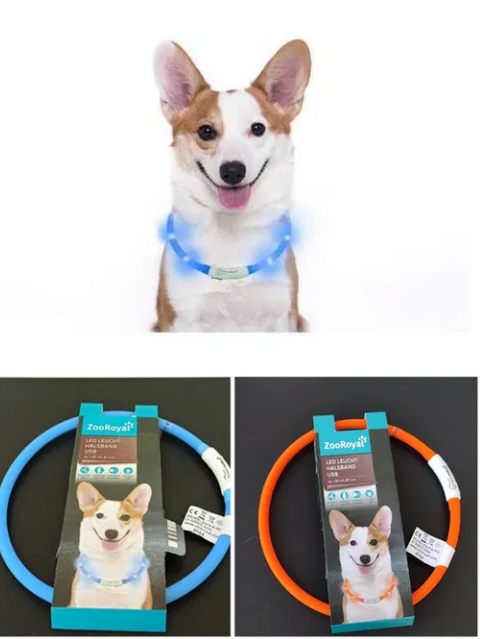 Zoo Royal Dog Leash Collar Led Light  | Zoo Royal In Lebanon