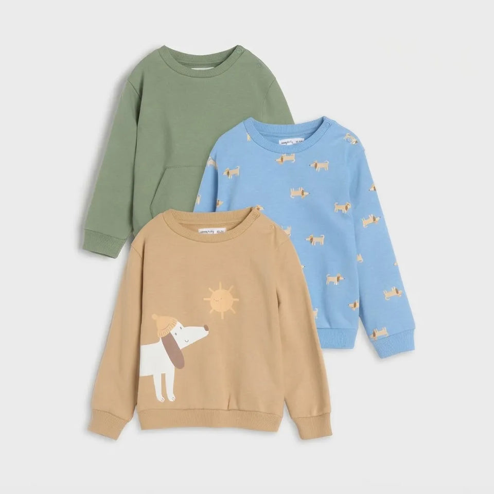 Sinsay Boy's Multicolored Soft Ribbed Cuffs and Hem 3-Pack Sweatshirts