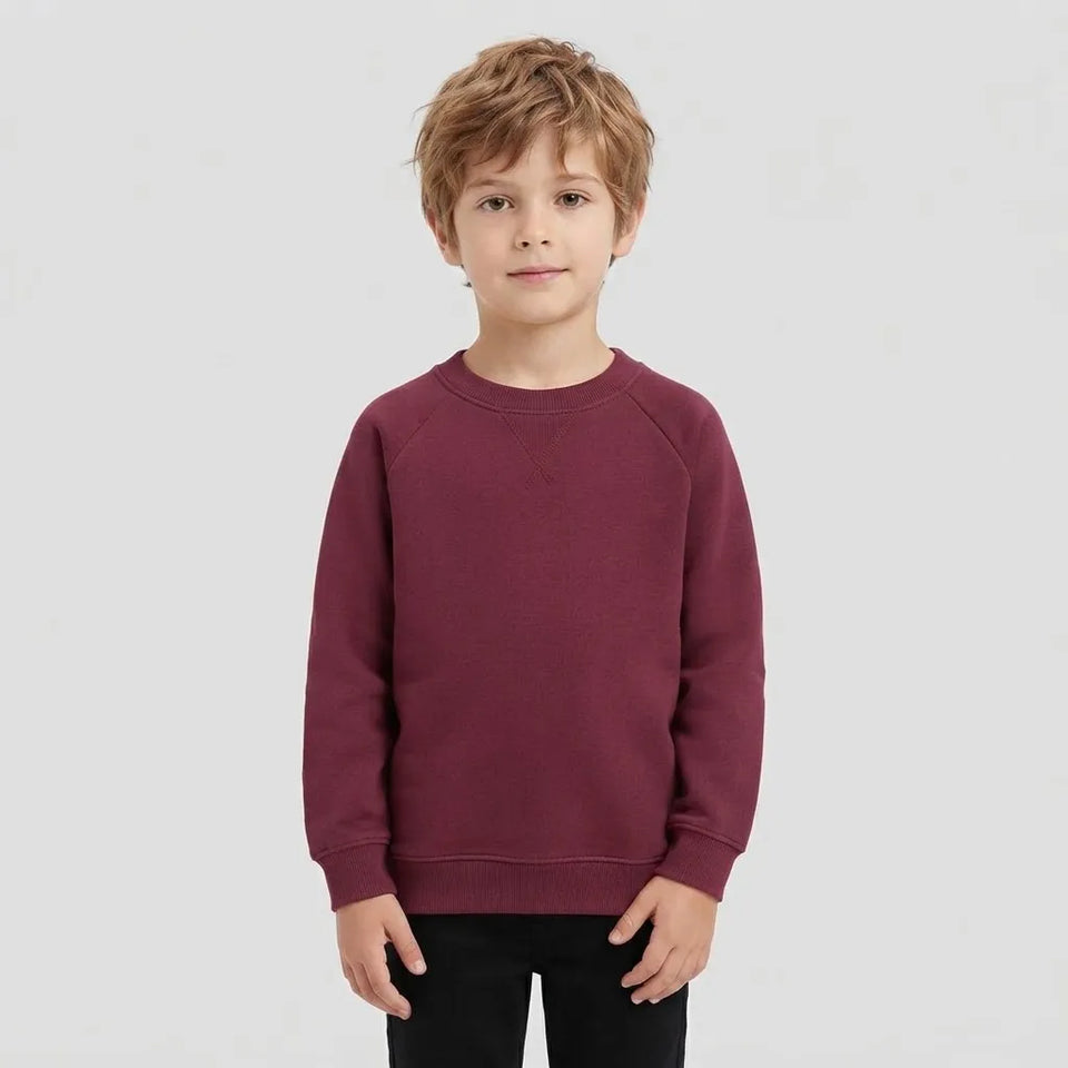 Sinsay Boy's Maroon Color Classic Round Neckline with Ribbed Hems Sweatshirt
