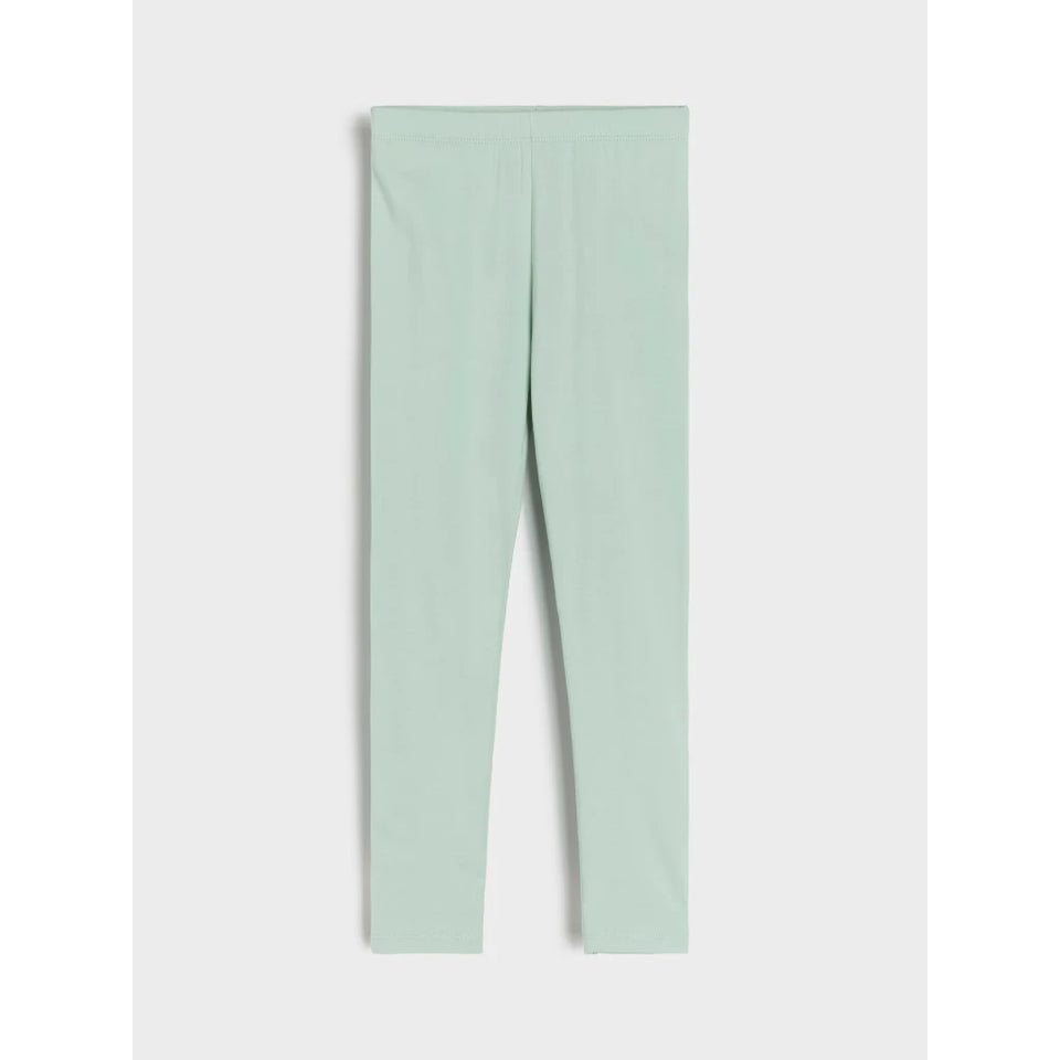 A pair of light mint green leggings shown flat against a light gray background.