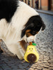 Sinsay Pets Avocado Plush Dog Toy | Sinsay in Lebanon