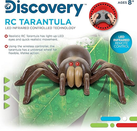 Discovery Kids Tarantula Spider Remote Control Toy Spider with Realistic Movement | Discovery Kids In Lebanon