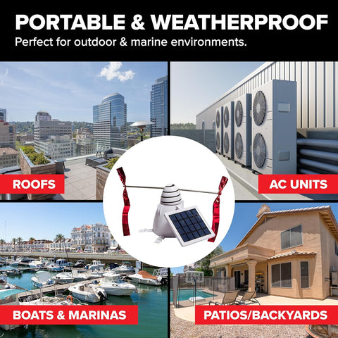 Bird B Gone Solar Bird Repeller | Bird B Gone In Lebanon