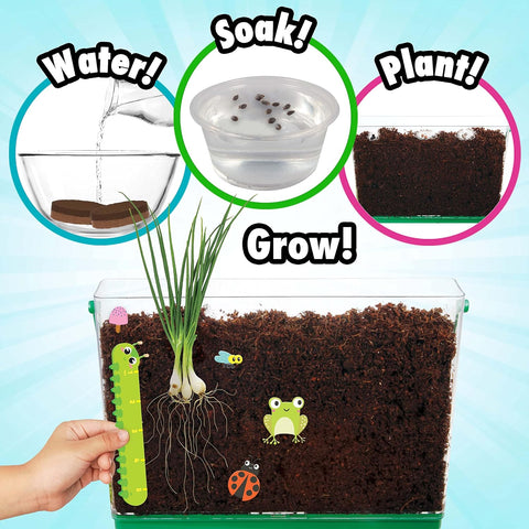 Creative Kids Miracle Gro My First Root Viewer Science Educational Gardening Set | Creative Kids In Lebanon