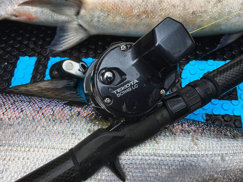 Shimano Tekota A 500/600 Conventional Reels | Shimano In Lebanon