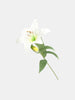 Sinsay White Decorative Artificial Plant | Sinsay In Lebanon